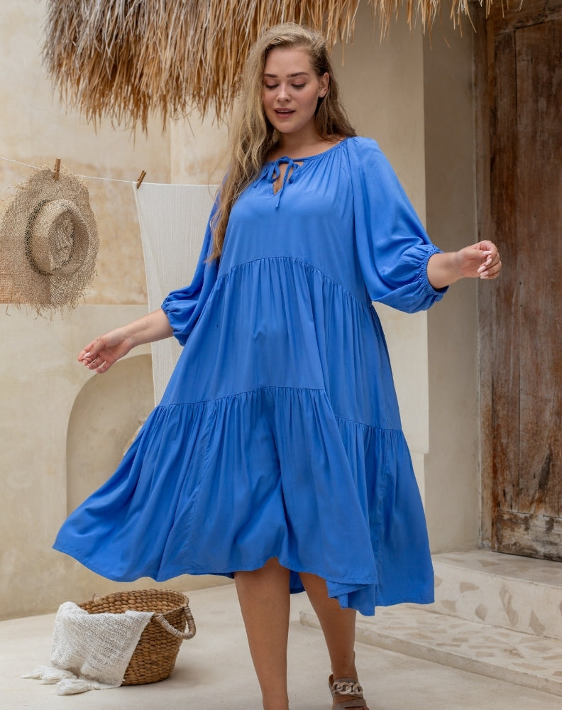 Jackson Dress in Blue